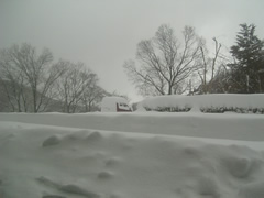 春を感じた矢先にこんなにも雪が降りました…（汗）