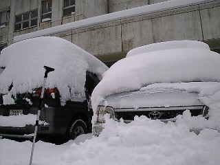 いよいよ降りました。駐車場の車はみんな真っ白に。