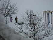 大雪となったグランドで雪合戦！楽しそうですね。